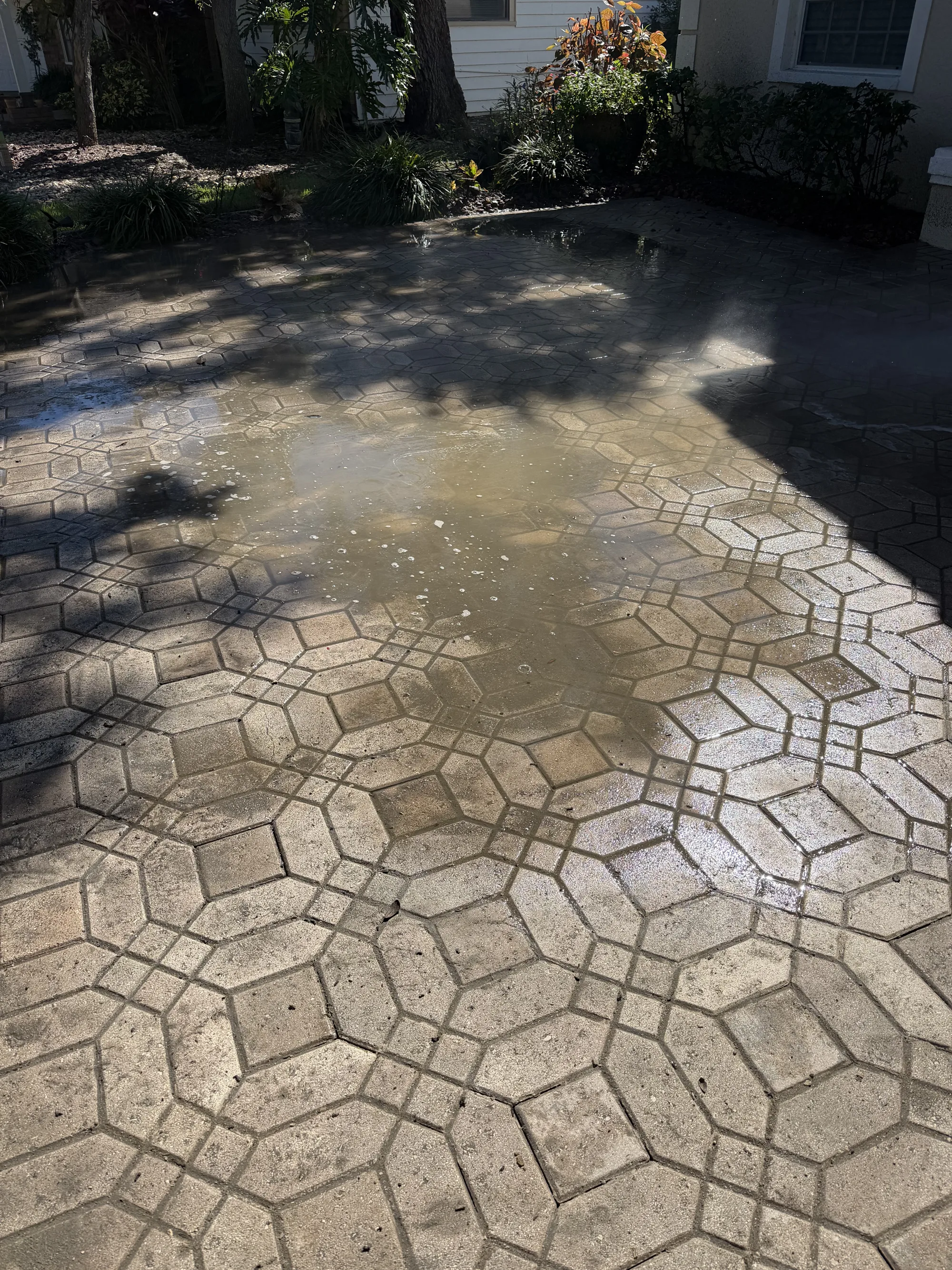 Wet pavers near the front of the house in Venice, FL while the old sealer is being stripped